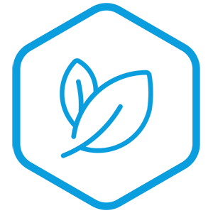 Icon planten